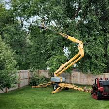 Lawn Edging in Wauwatosa, WI