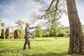 Best Tree Maintenance Programs  in Wauwatosa, WI